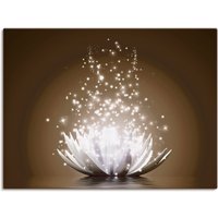 Artland Wandbild "Magie der Lotus-Blume", Blumen, (1 St.), als Leinwandbild, Poster, Wandaufkleber in verschied. Größen von Artland