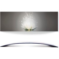 Artland Wandbild "Magie der Lotus-Blume", Blumen, (1 St.) von Artland