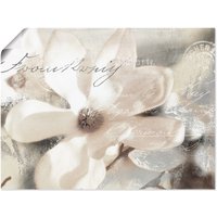 Artland Wandbild "Magnolie Detail", Blumenbilder, (1 St.) von Artland