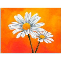 Artland Wandbild "Margeriten auf Orange", Blumen, (1 St.) von Artland