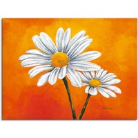 Artland Wandbild "Margeriten auf Orange", Blumen, (1 St.) von Artland