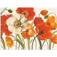 Artland Wandbild "Mohnblumen I", Blumen, (1 St.) von Artland