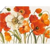 Artland Wandbild "Mohnblumen I", Blumen, (1 St.) von Artland