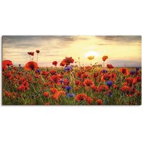 Artland Wandbild "Mohnblumen", Blumen, (1 St.) von Artland