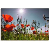 Artland Wandbild "Mohnblumenwiese", Blumenwiese, (1 St.), als Alubild, Outdoorbild, Leinwandbild, Poster in verschied. Größen von Artland