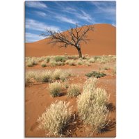 Artland Wandbild "Namib-Wüste 2", Afrika, (1 St.) von Artland