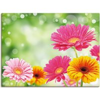 Artland Wandbild "Natürliche Romantik - Gerberas", Blumen, (1 St.) von Artland