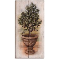 Artland Leinwandbild "Olivenbaum mit Holzoptik", Pflanzen, (1 St.) von Artland