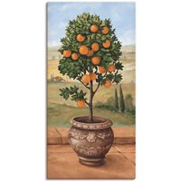 Artland Wandbild "Orangenbaum" Bäume 1 Stk. tlg. als Leinwandbild, Wandaufkleber in verschied. Größen von Artland