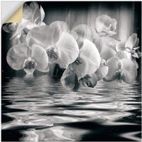 Artland Wandbild "Orchideen - monochrom", Spa Bilder, (1 St.) von Artland