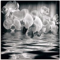 Artland Wandbild "Orchideen - monochrom", Spa Bilder, (1 St.) von Artland