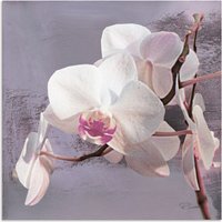 Artland Wandbild "Orchideen vor Violett I", Blumen, (1 St.) von Artland