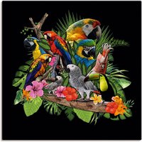 Artland Wandbild "Papageien Graupapagei Kakadu Dschungel", Vögel, (1 St.) von Artland