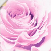 Artland Wandbild "Pastell Rose", Blumen, (1 St.) von Artland