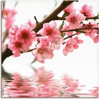 Artland Wandbild "Pfirsichblüten reflektieren im Wasser", Blumen, (1 St.), als Leinwandbild in verschied. Größen von Artland