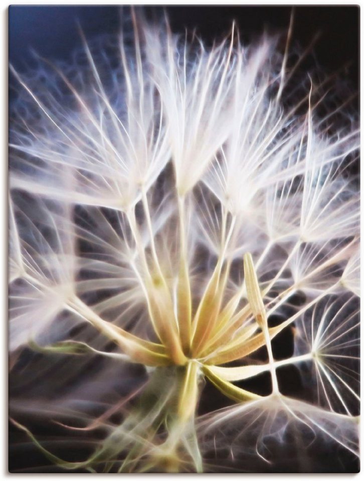 Artland Wandbild Pusteblume, Blumen (1 St), als Leinwandbild, Poster in verschied. Größen von Artland