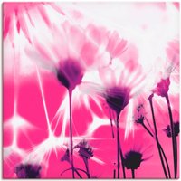 Artland Leinwandbild "Pusteblume abstrakt", Blumen, (1 St.), auf Keilrahmen gespannt von Artland