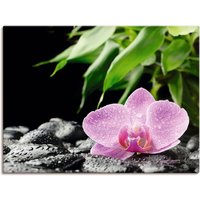 Artland Wandbild "Rosa Orchidee auf schwarzen Zen Steinen", Blumen, (1 St.) von Artland