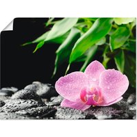 Artland Wandbild "Rosa Orchidee auf schwarzen Zen Steinen", Blumen, (1 St.) von Artland