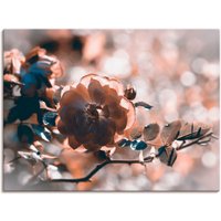 Artland Wandbild "Rose", Blumen, (1 St.) von Artland