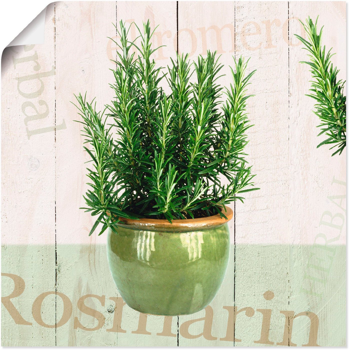 Artland Wandbild Rosmarin, Pflanzen (1 St), als Alubild, Outdoorbild, Leinwandbild, Poster in verschied. Größen von Artland