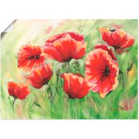 Artland Wandbild "Rote Mohnblumen II" 1 Stk. tlg. als Leinwandbild, Poster in verschied. Größen von Artland