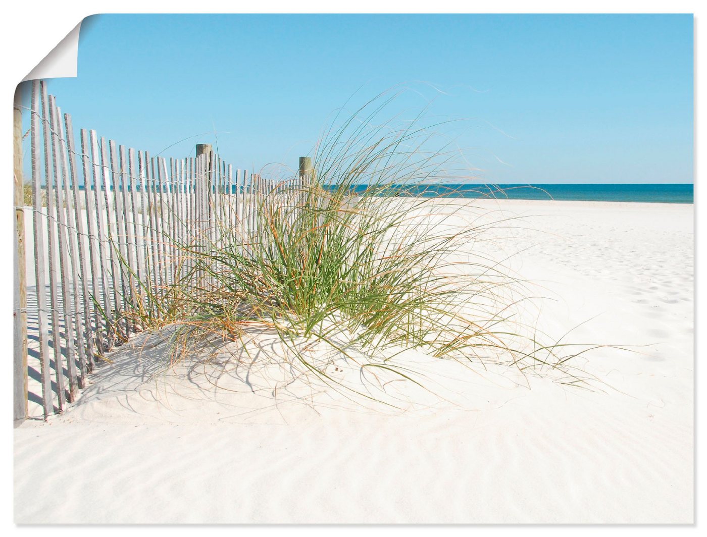 Artland Wandbild Schöne Sanddüne mit Gräsern und Zaun, Strand (1 St), als Leinwandbild, Poster in verschied. Größen von Artland