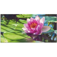 Artland Wandbild "Seerose Nahaufnahme", Blumenbilder, (1 St.) von Artland