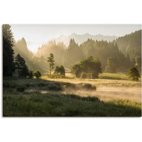 Artland Wandbild "Sommermorgen in den Alpen", Wiesen & Bäume, (1 St.) von Artland