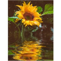 Artland Wandbild "Sonnenblume", Blumen, (1 St.) von Artland