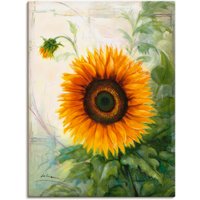 Artland Leinwandbild "Sonnenblume", Blumen, (1 St.) von Artland