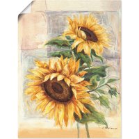 Artland Wandbild "Sonnenblumen II", Blumen, (1 St.) von Artland