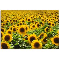 Artland Wandbild "Sonnenblumenfeld", Blumen, (1 St.) von Artland