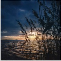 Artland Alu-Dibond-Druck "Sonnenuntergang mit Schilf am See", Seebilder, (1 St.) von Artland