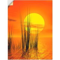 Artland Wandbild "Sonnenuntergang mit Schilf", Sonnenaufgang & -untergang, (1 St.) von Artland