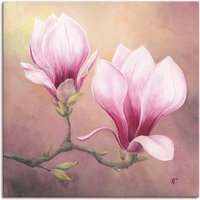 Artland Wandbild "Späte Magnolie", Blumenbilder, (1 St.) von Artland