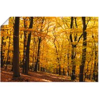 Artland Wandbild "Spaziergang im Herbstwald", Wald, (1 St.) von Artland