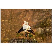 Artland Leinwandbild "Storchenpaar", Vogelbilder, (1 St.) von Artland