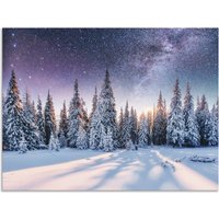 Artland Wandbild "Tannenwald im Schnee vorm Sternenhimmel", Berge & Alpenbilder, (1 St.) von Artland