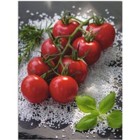 Artland Wandbild "Tomaten Rispe auf Salz", Lebensmittel, (1 St.) von Artland