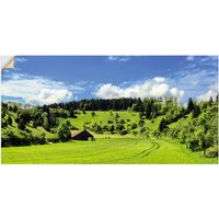 Artland Wandbild "Traumhafte Landschaft im Schwarzwald", Wiesen & Baumbilder, (1 St.) von Artland