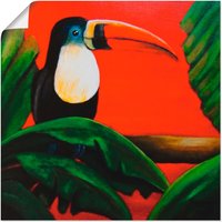 Artland Wandbild "Tukan", Vögel, (1 St.) von Artland