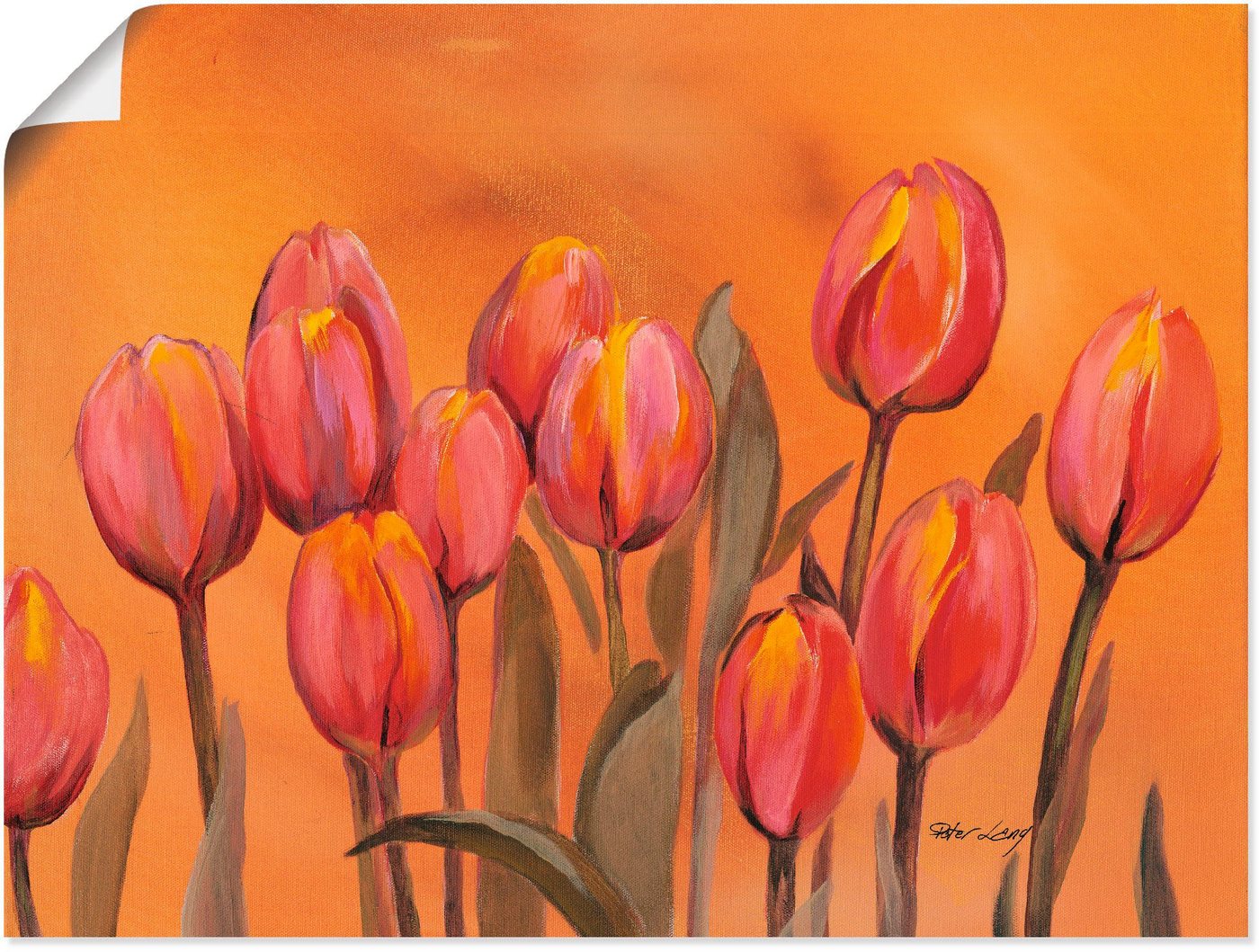 Artland Poster Tulpen, Blumen (1 St), als Alubild, Leinwandbild, Wandaufkleber oder Poster in versch. Größen von Artland