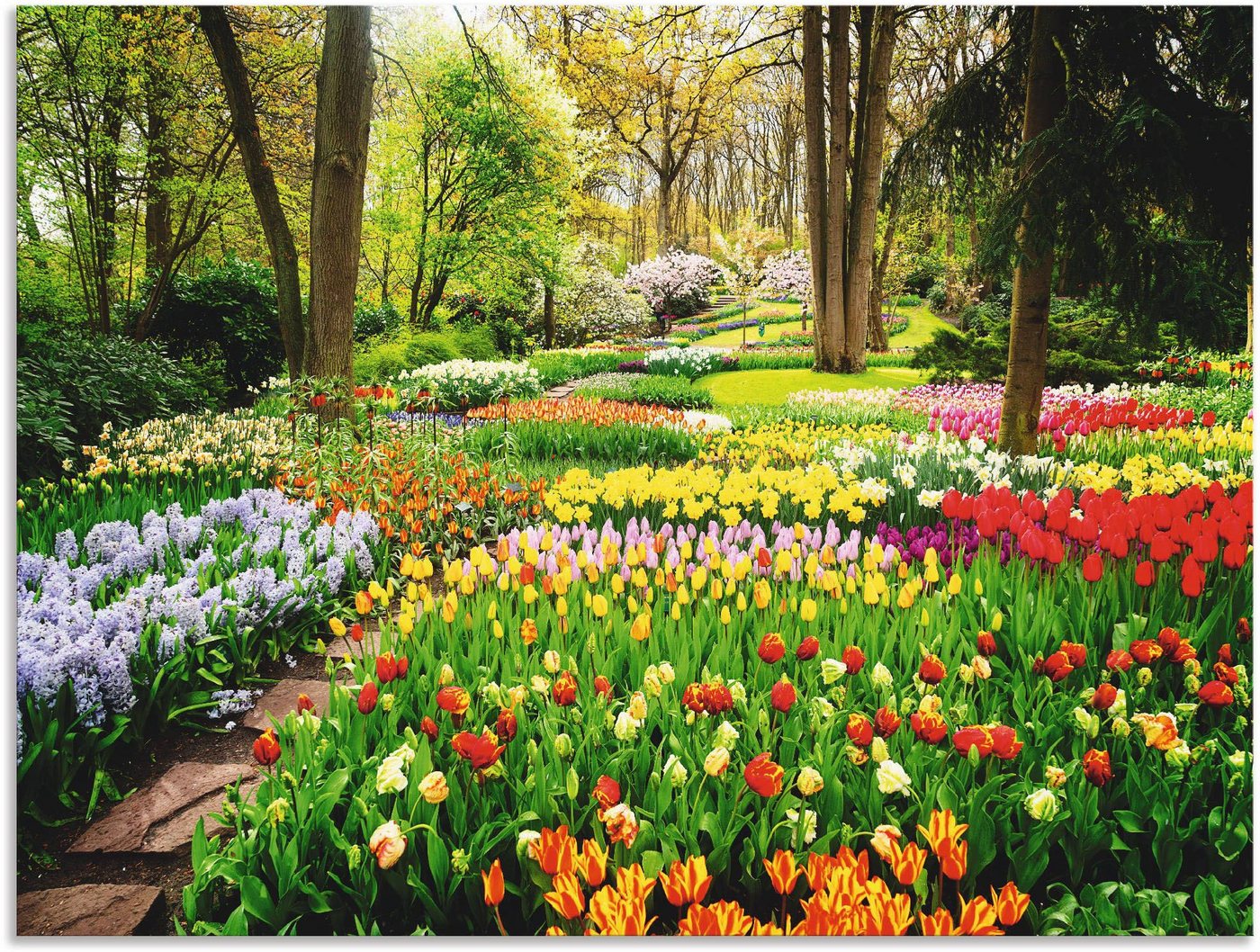 Artland Wandbild Tulpen Garten Frühling, Blumenwiese (1 St), als Alubild, Outdoorbild, Leinwandbild, Poster, Wandaufkleber von Artland