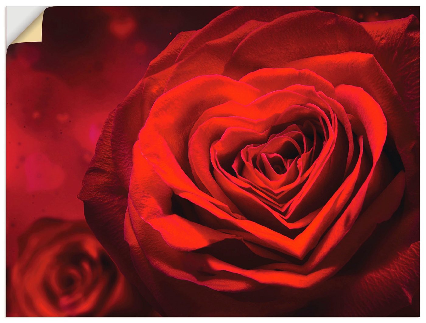 Artland Wandbild Valentinseinladung mit Herzen und Rosen, Blumen (1 St), als Leinwandbild, Poster, Wandaufkleber in verschied. Größen von Artland