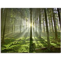 Artland Wandbild "Wald im Gegenlicht", Wald, (1 St.) von Artland