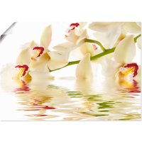 Artland Wandbild "Weiße Orchidee mit Wasserreflektion", Blumen, (1 St.) von Artland