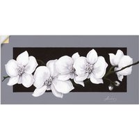 Artland Wandbild "Weiße Orchideen auf grau", Blumen, (1 St.) von Artland