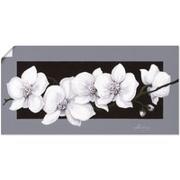 Artland Wandbild "Weiße Orchideen auf grau", Blumen, (1 St.) von Artland