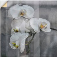 Artland Wandbild "Weisse Orchideen - white Orchid", Blumen, (1 St.), als Leinwandbild, Wandaufkleber in verschied. Größen von Artland